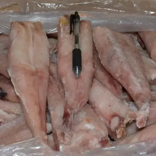 Frozen Monkfish Fillet