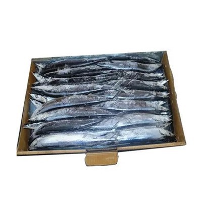 Frozen Seafood Pacific Saury