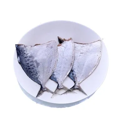 HGT Moon Fish